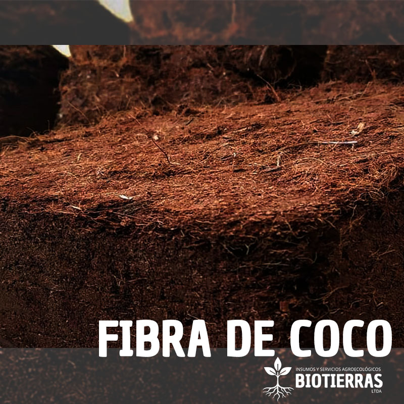 FIBRADECOCO_BIOTIERRAS3